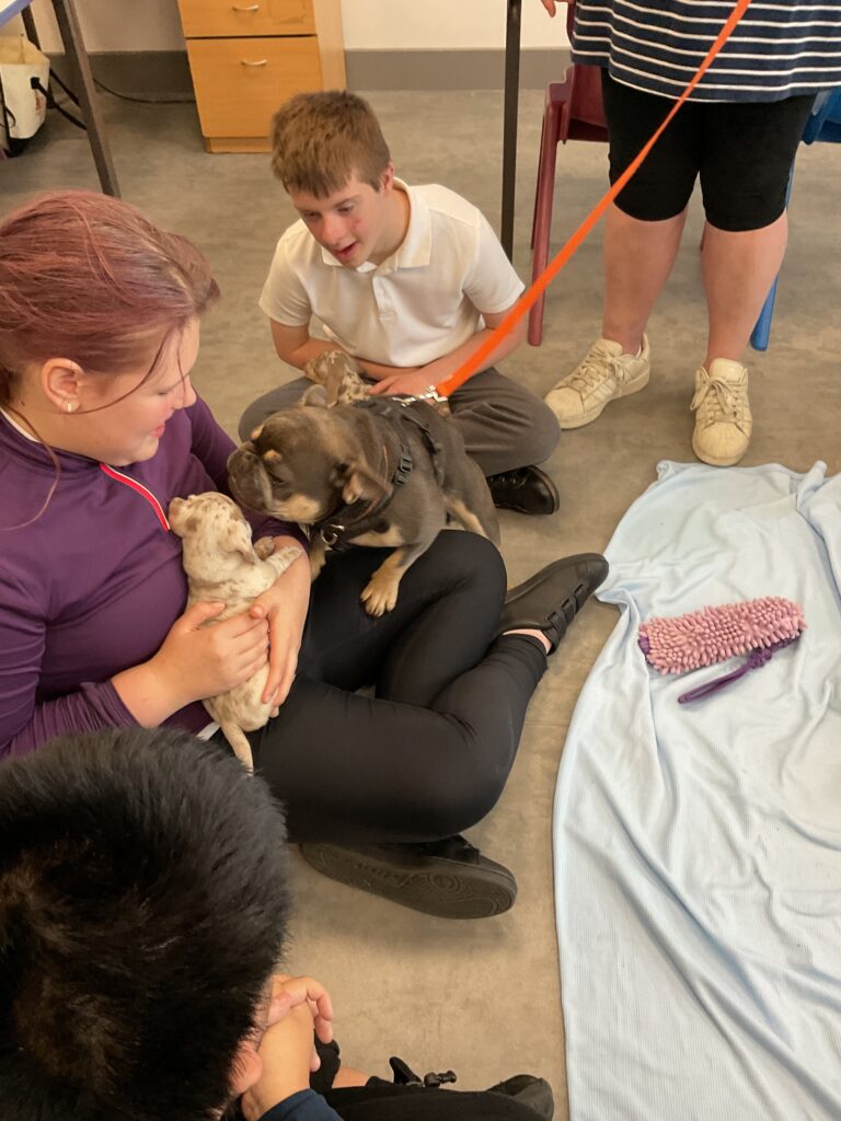 People on the floor with 2 dogs