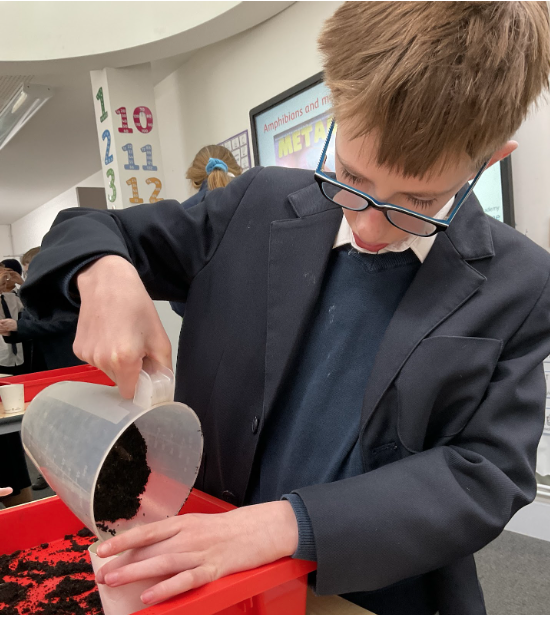 Students pouring dirt into a tray