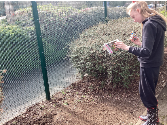 Student pouring seeds onto the ground