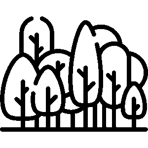 Forest Icon