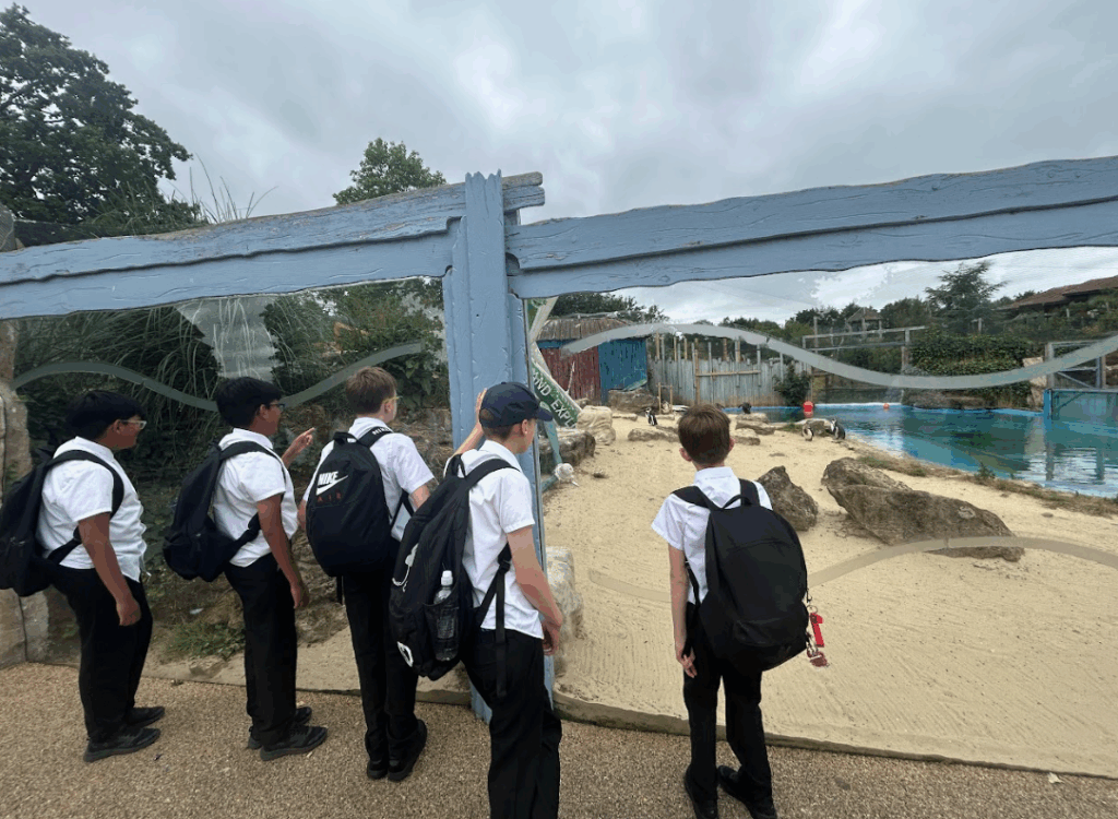 Several children, all wearing similar white shirts and dark trousers/skirts (possibly a school uniform), are looking into an enclosure with what appear to be penguins and a body of water. This suggests they are at a zoo or wildlife park.