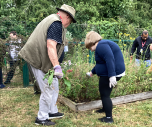 Three people gardening at a raised flower bed